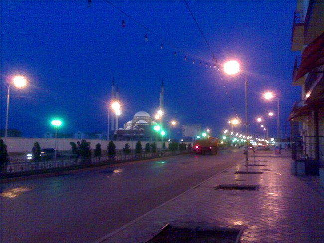 ���������