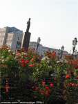 Grozny_new_070.jpg