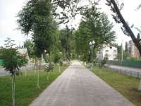 Grozny_new_202.jpg