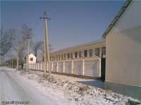 Grozny_posle_130.jpg