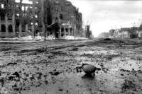 Grozny_voina_85.jpg